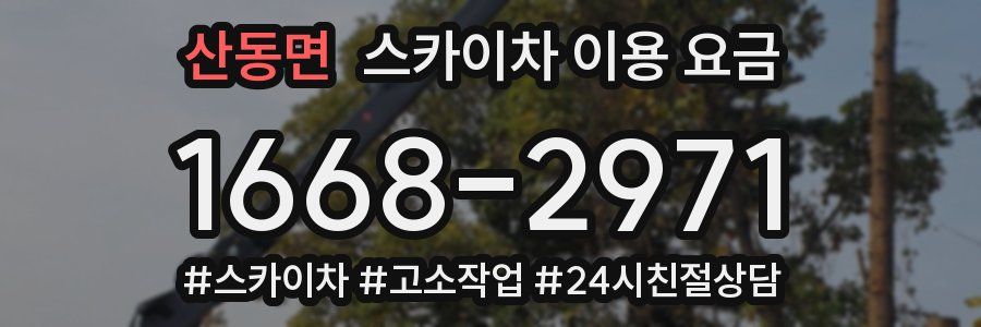 산동면 스카이차 이용 요금