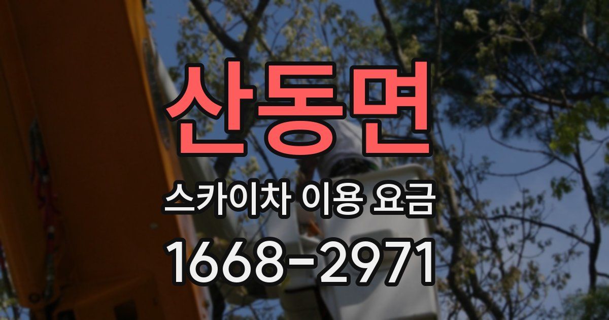 산동면 스카이차 이용 요금