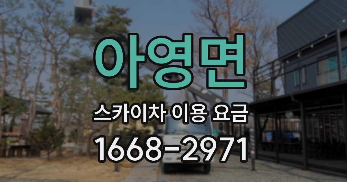 아영면 스카이차 이용 요금