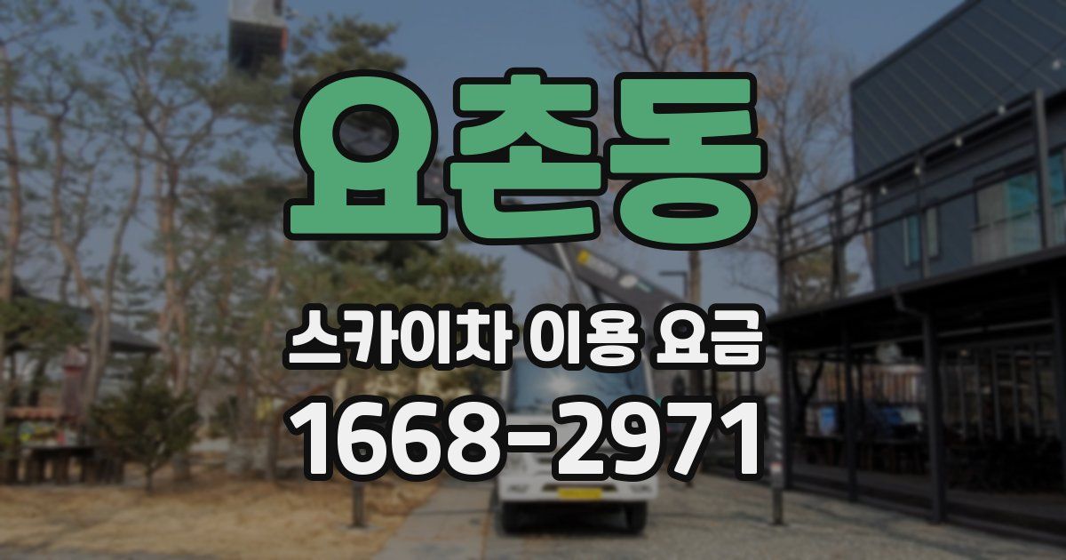 요촌동 스카이차 이용 요금