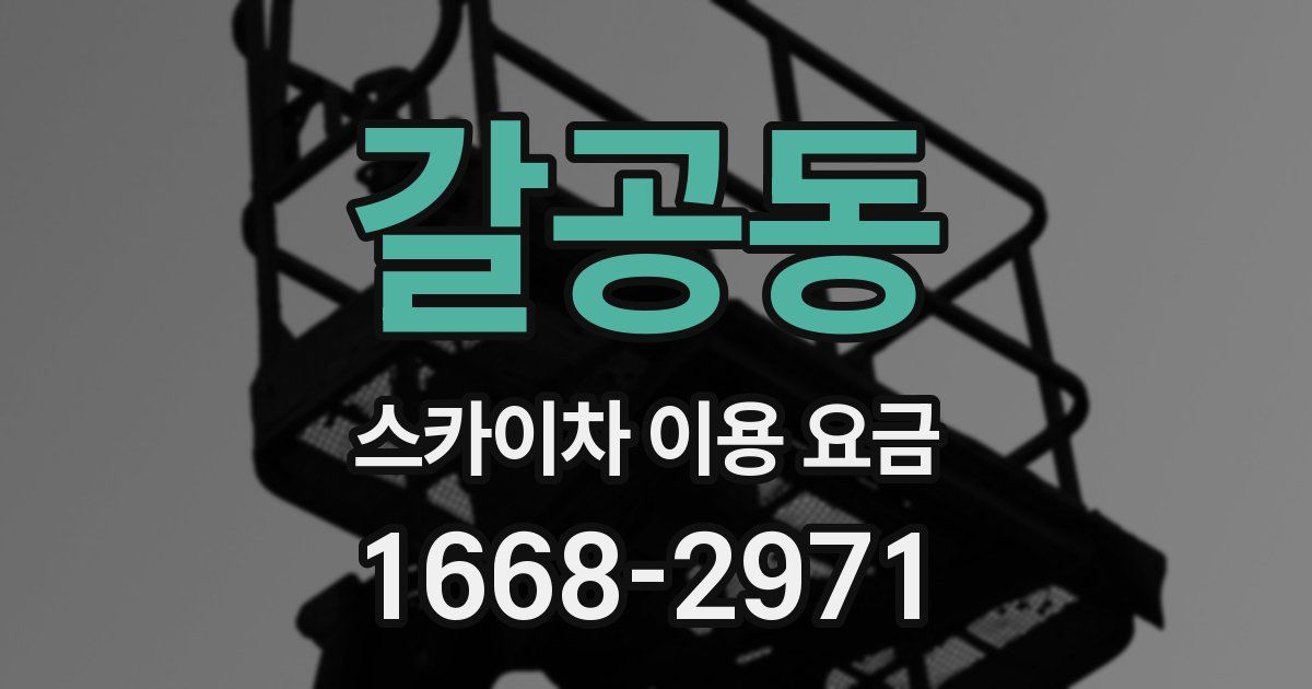 갈공동 스카이차 이용 요금