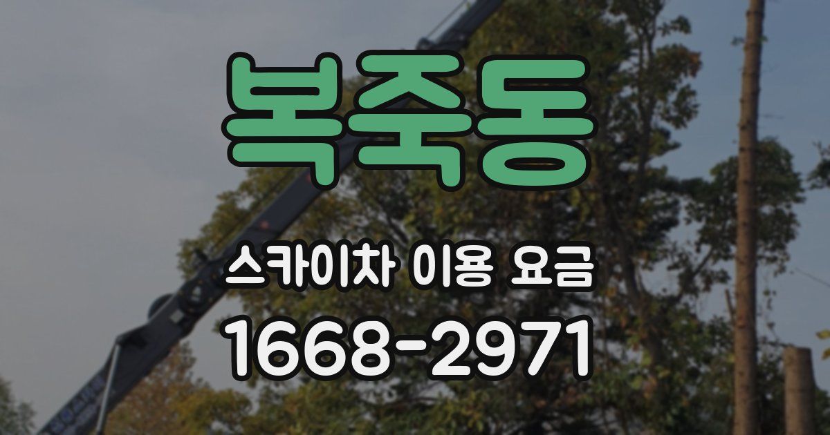 복죽동 스카이차 이용 요금