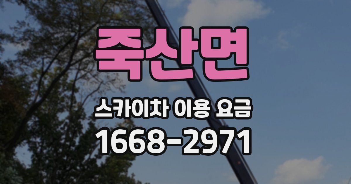 죽산면 스카이차 이용 요금