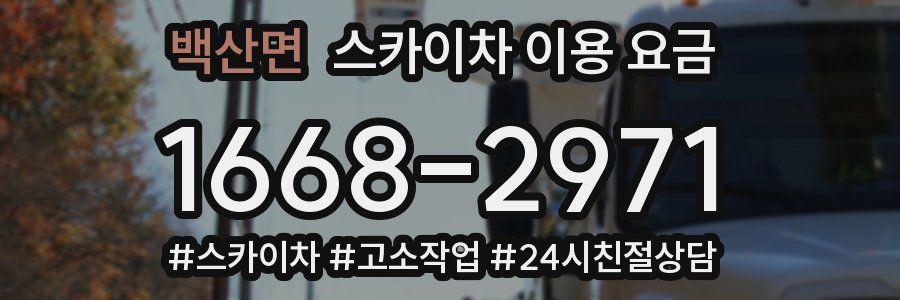 백산면 스카이차 이용 요금