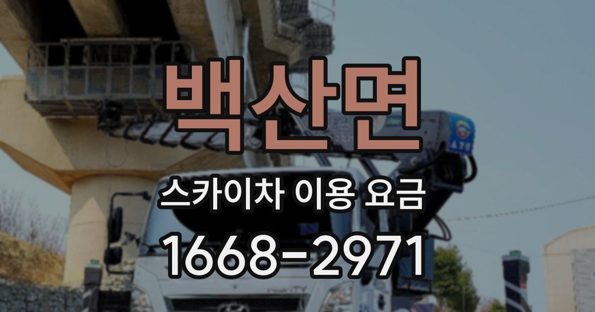 백산면 스카이차 이용 요금