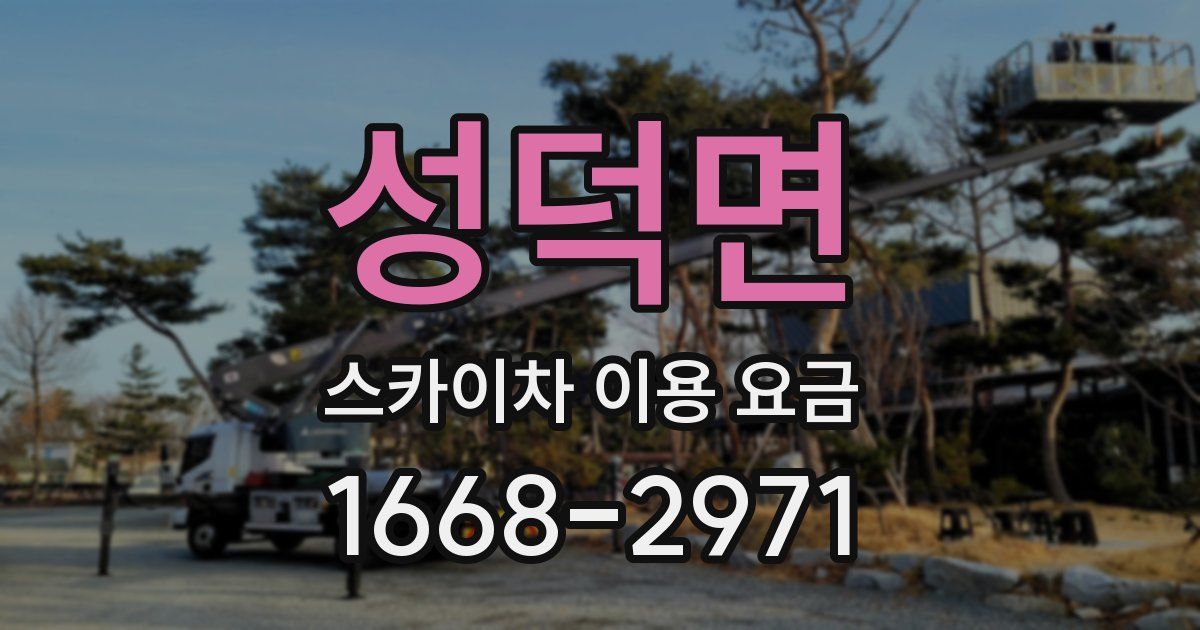 성덕면 스카이차 이용 요금
