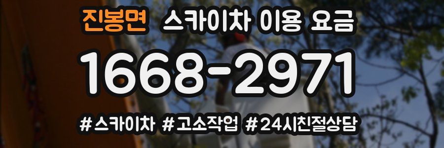진봉면 스카이차 이용 요금