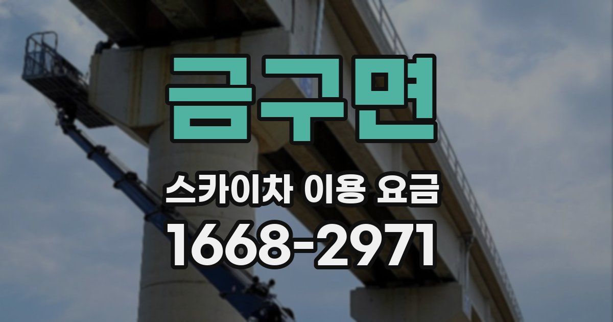 금구면 스카이차 이용 요금