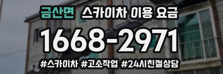 금산면 스카이차 이용 요금