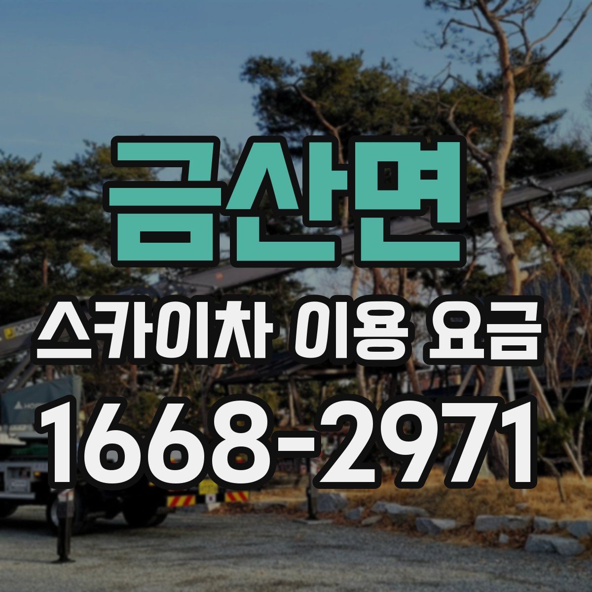 금산면 스카이차 이용 요금