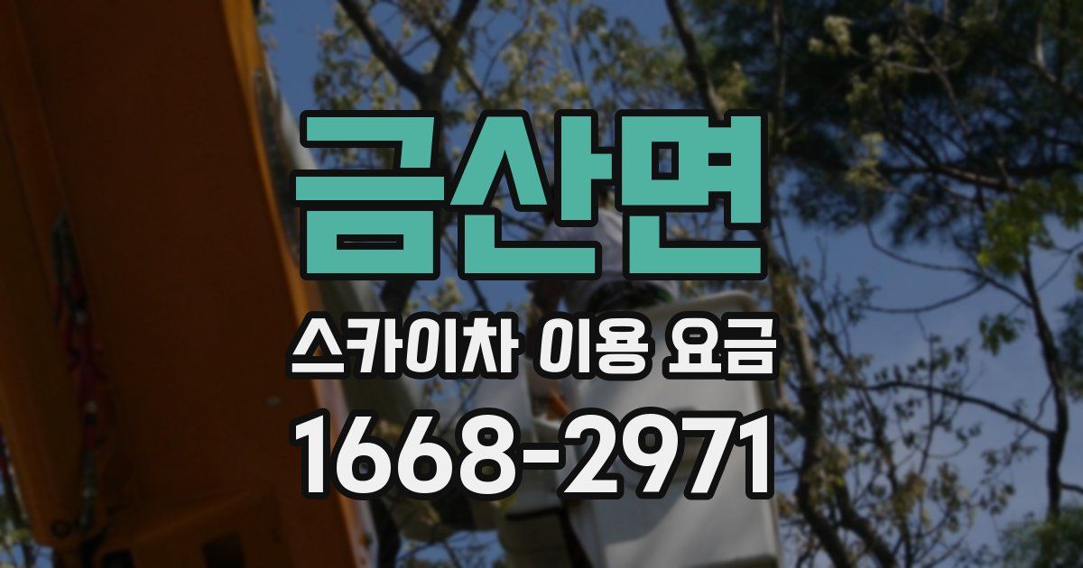 금산면 스카이차 이용 요금