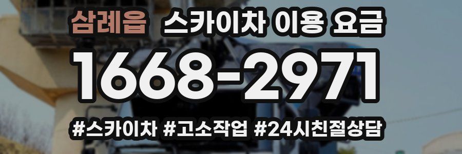 삼례읍 스카이차 이용 요금