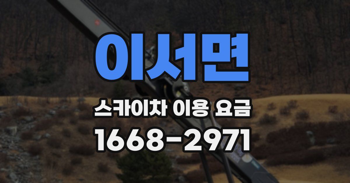 이서면 스카이차 이용 요금