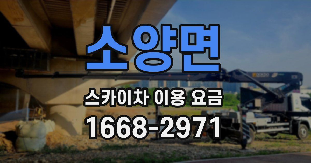 소양면 스카이차 이용 요금