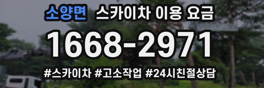 소양면 스카이차 이용 요금