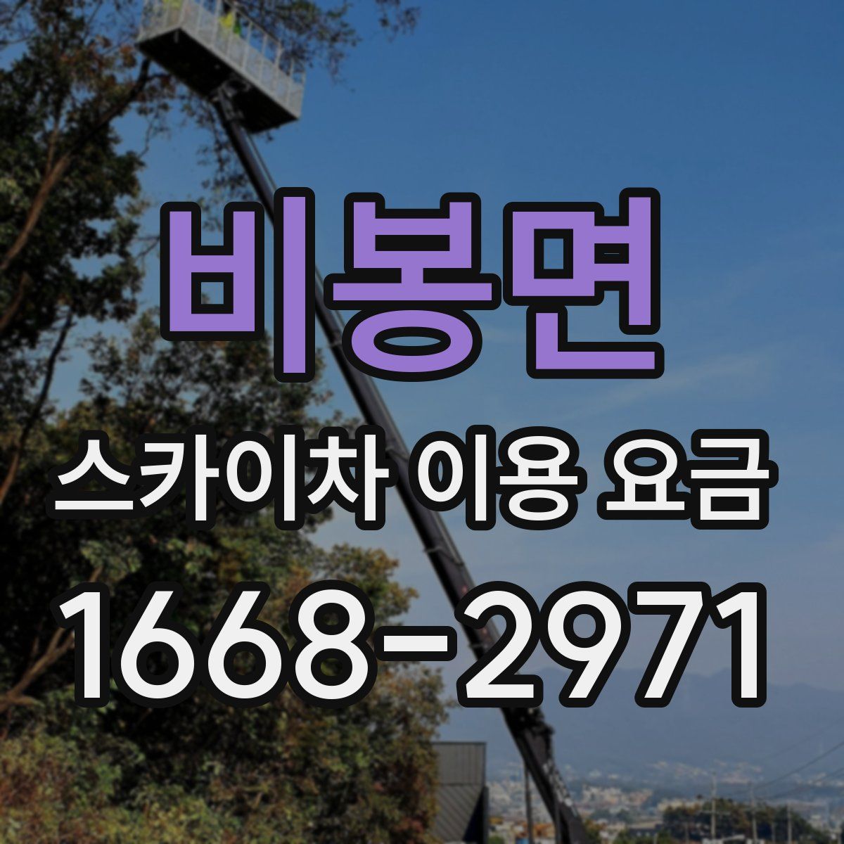 비봉면 스카이차 이용 요금
