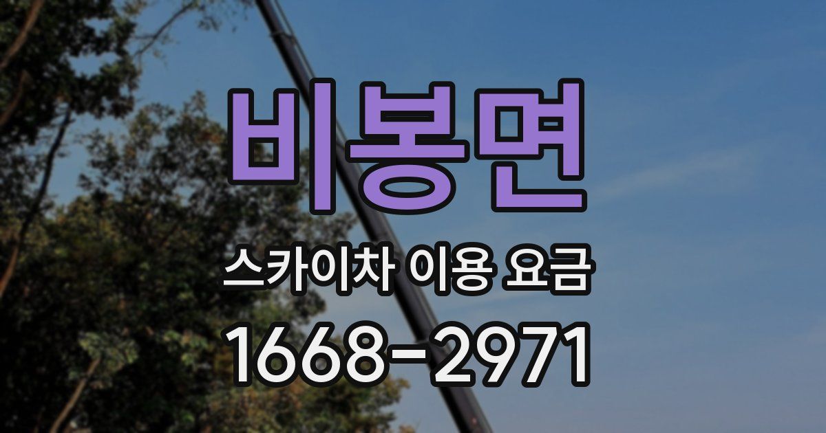 비봉면 스카이차 이용 요금