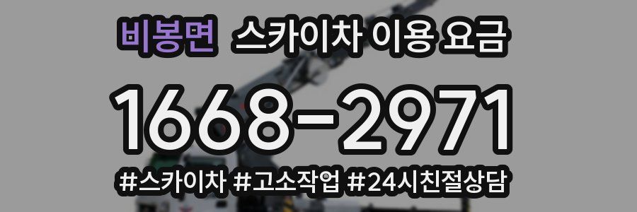 비봉면 스카이차 이용 요금