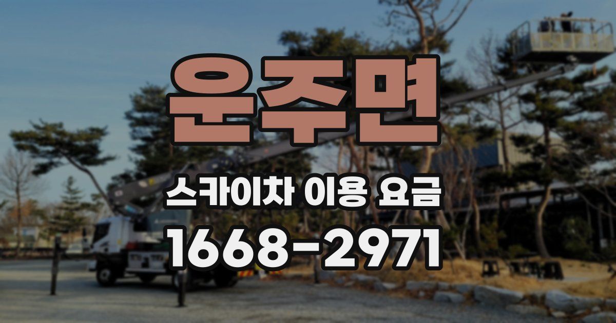 운주면 스카이차 이용 요금