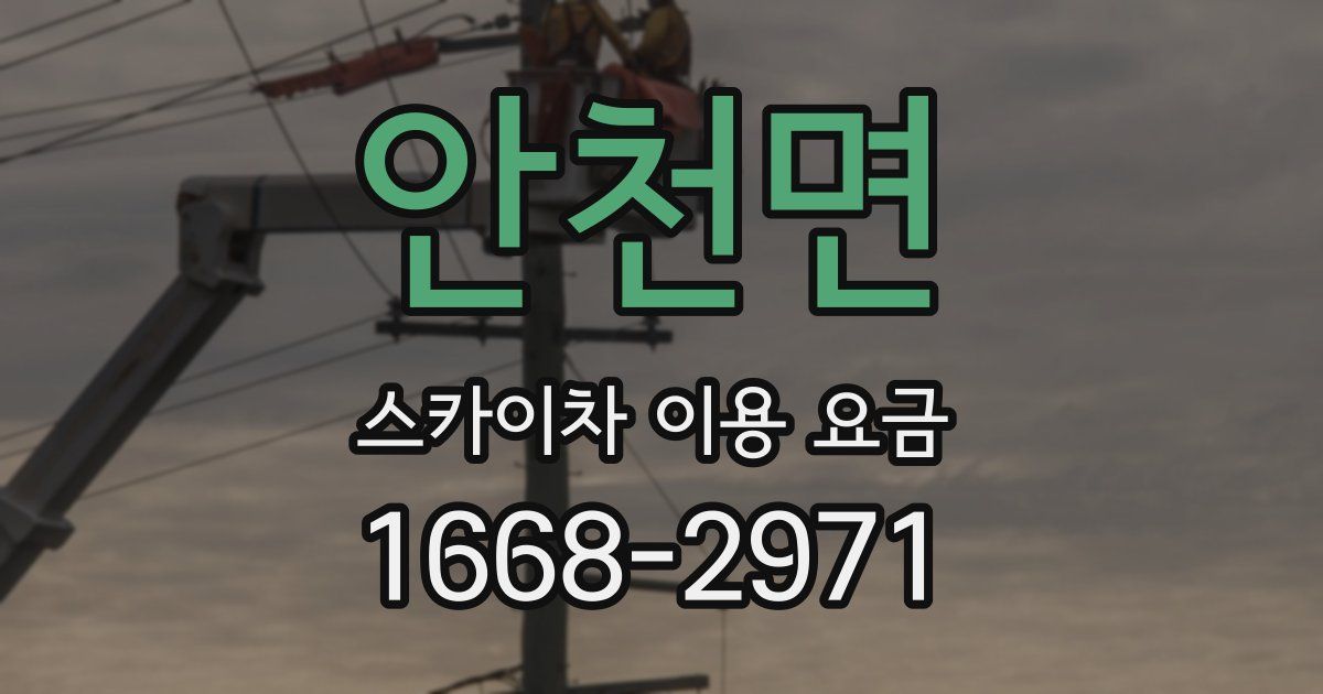 안천면 스카이차 이용 요금