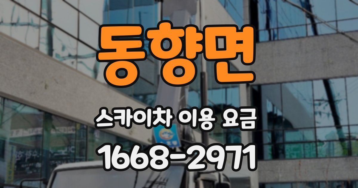 동향면 스카이차 이용 요금
