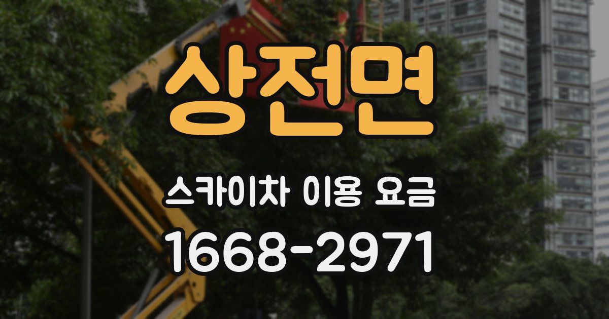 상전면 스카이차 이용 요금