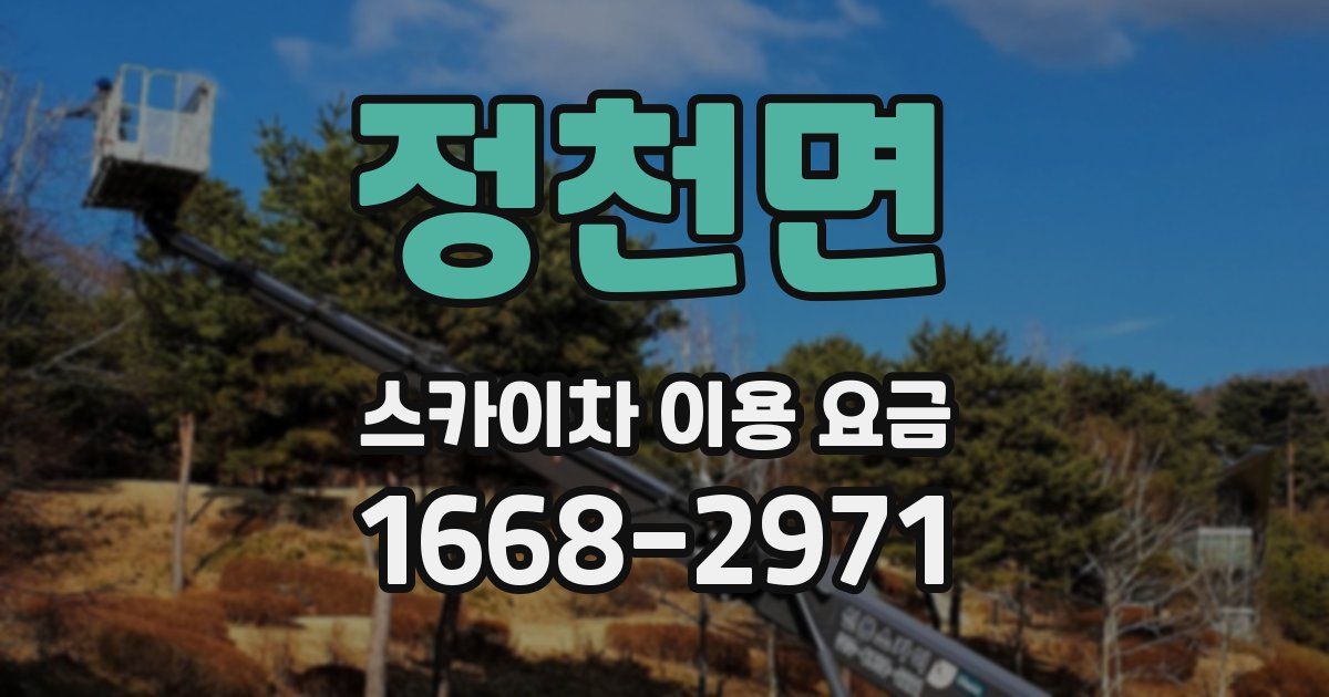 정천면 스카이차 이용 요금