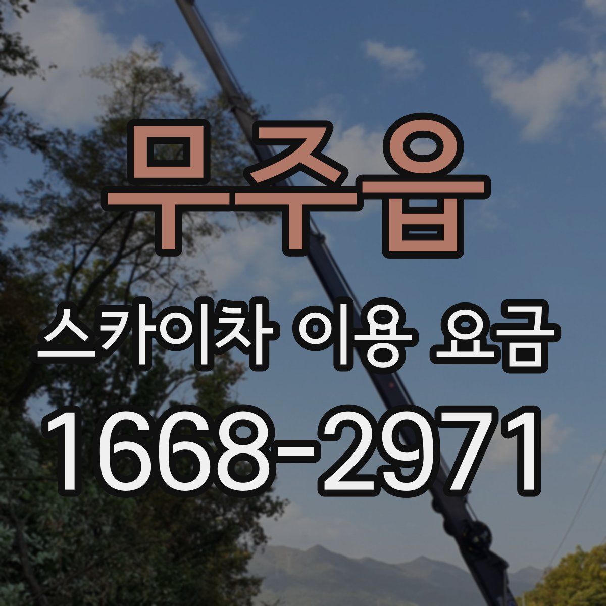 무주읍 스카이차 이용 요금