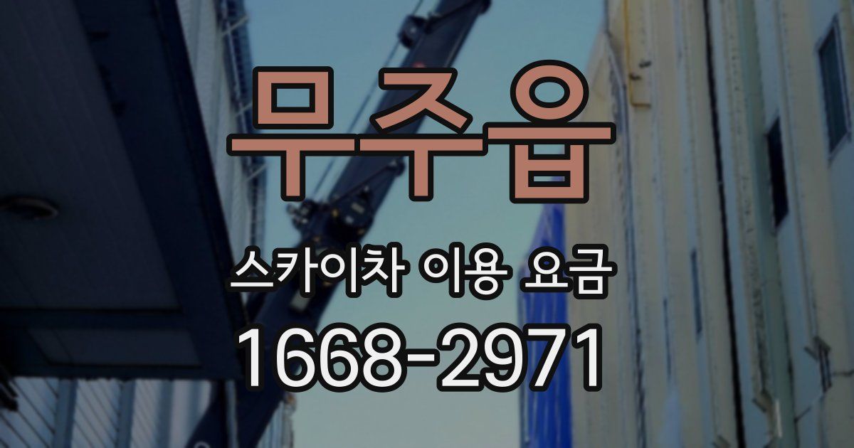 무주읍 스카이차 이용 요금