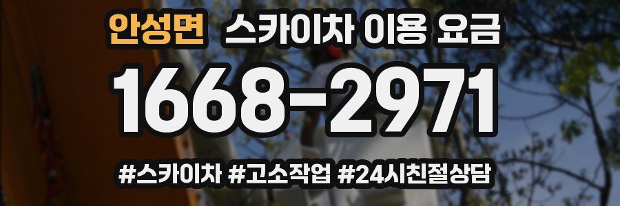 안성면 스카이차 이용 요금