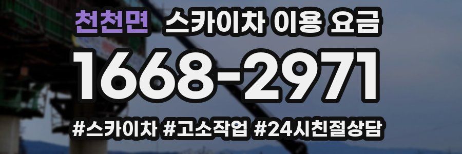 천천면 스카이차 이용 요금