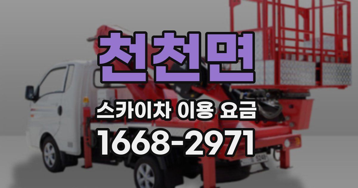 천천면 스카이차 이용 요금