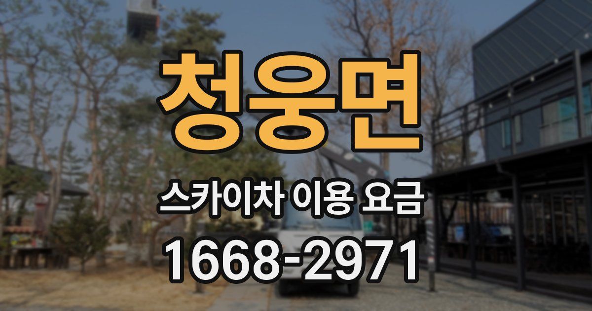 청웅면 스카이차 이용 요금