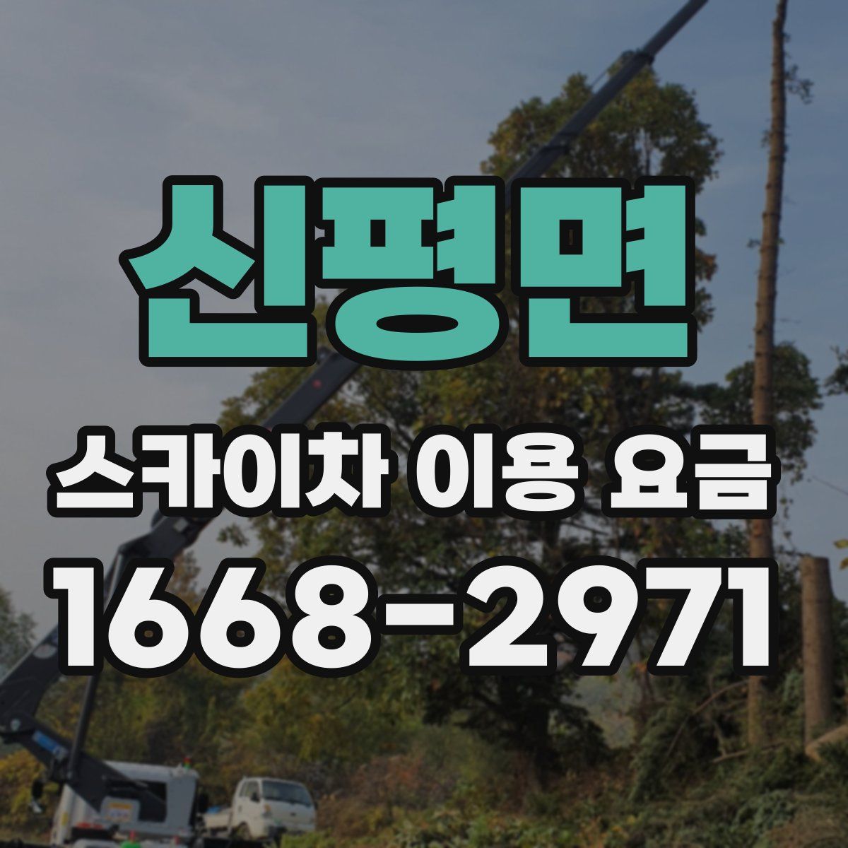 신평면 스카이차 이용 요금