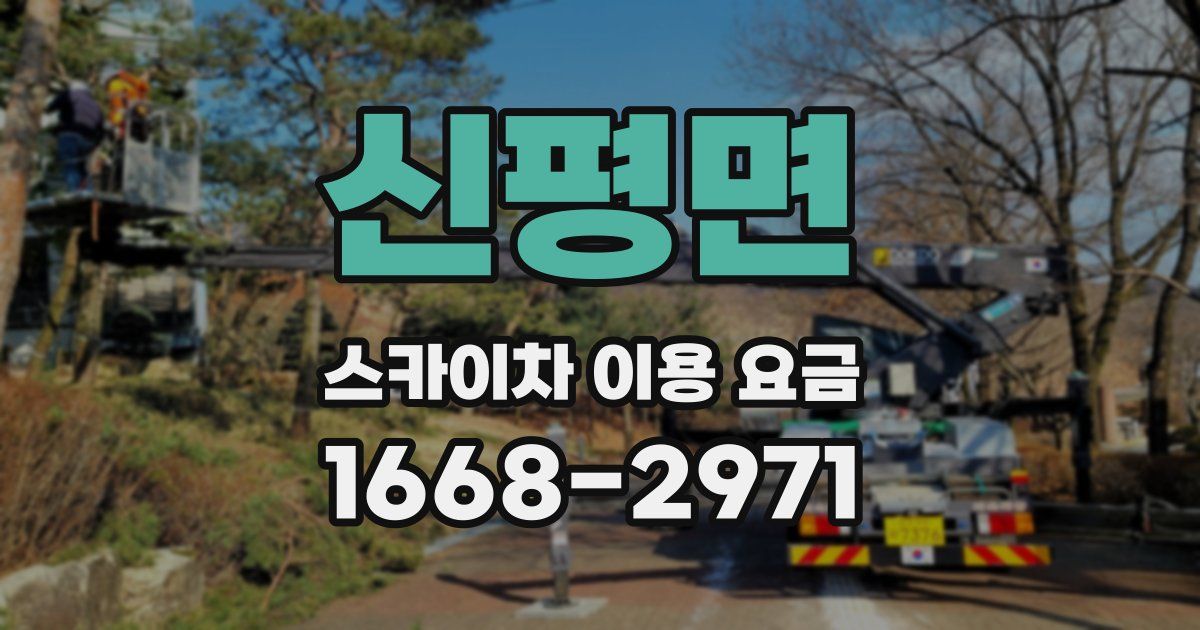 신평면 스카이차 이용 요금