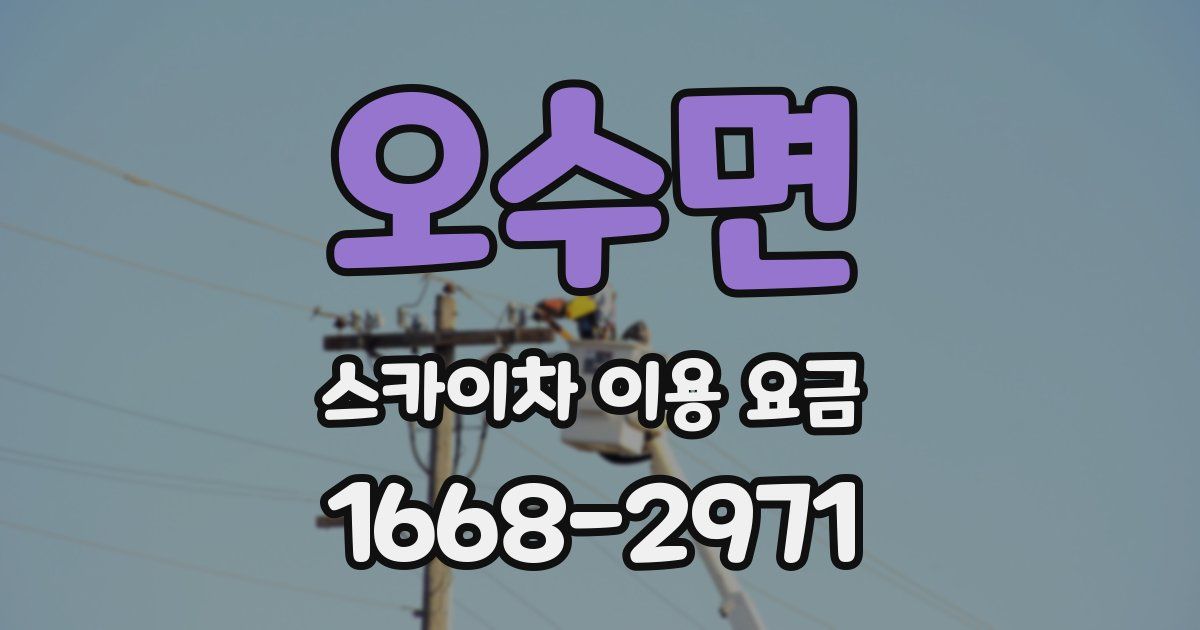 오수면 스카이차 이용 요금