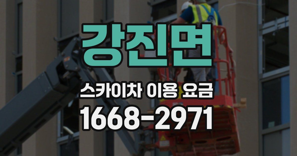 강진면 스카이차 이용 요금