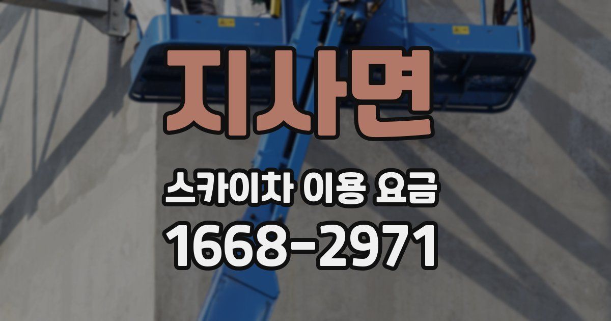 지사면 스카이차 이용 요금