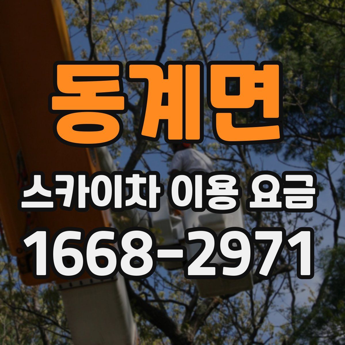 동계면 스카이차 이용 요금