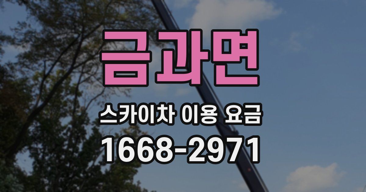 금과면 스카이차 이용 요금
