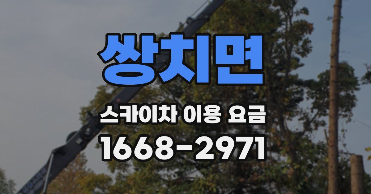 쌍치면 스카이차 이용 요금