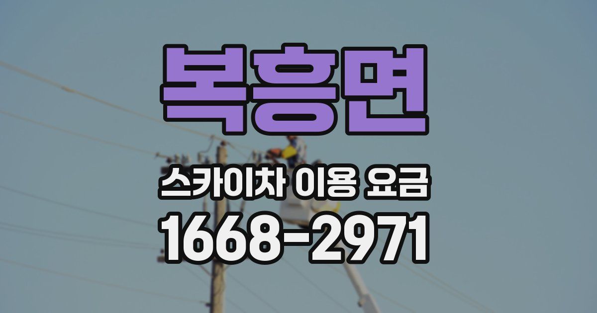 복흥면 스카이차 이용 요금