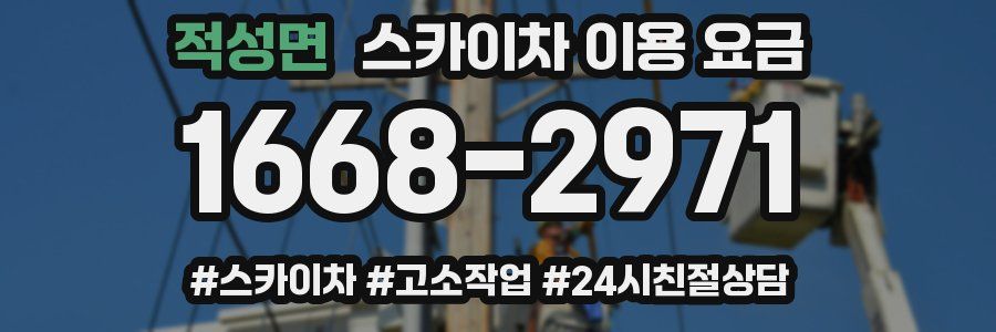 적성면 스카이차 이용 요금