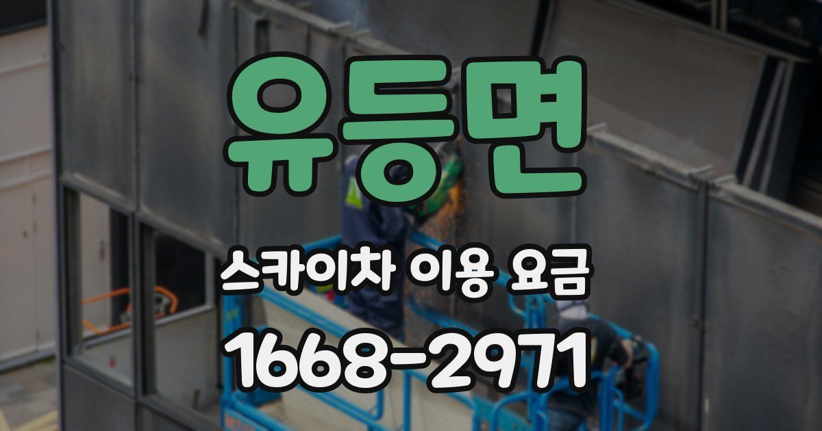 유등면 스카이차 이용 요금