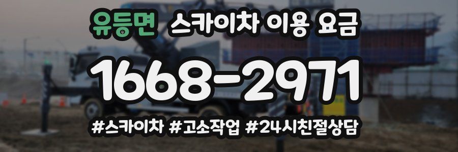 유등면 스카이차 이용 요금