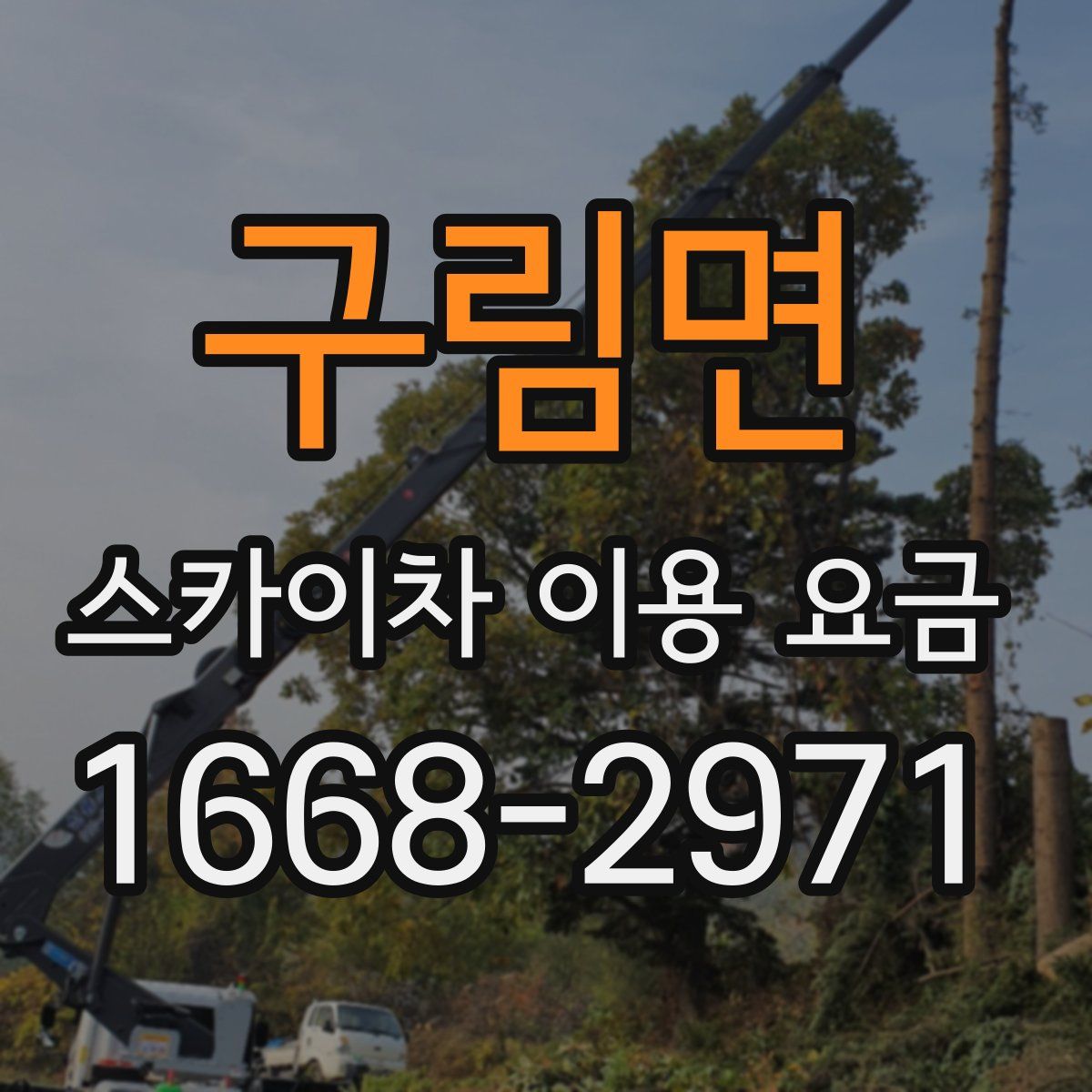 구림면 스카이차 이용 요금