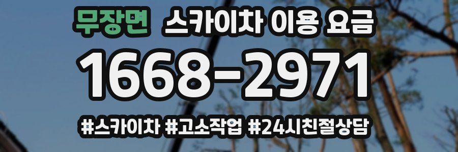 무장면 스카이차 이용 요금