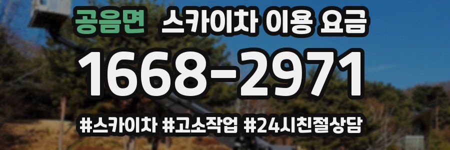 공음면 스카이차 이용 요금