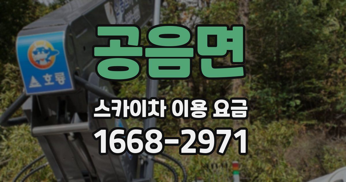 공음면 스카이차 이용 요금
