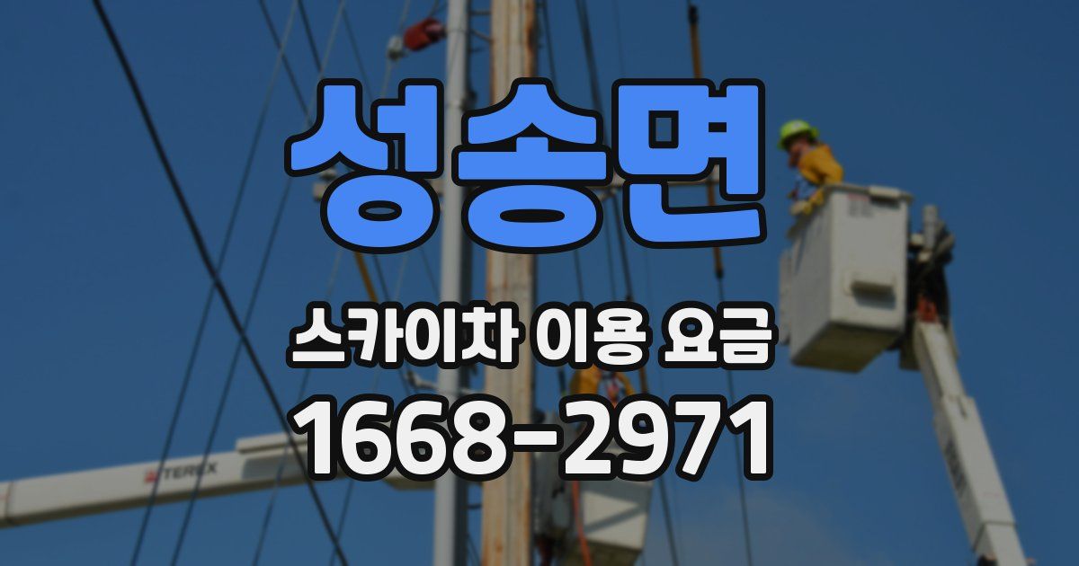 성송면 스카이차 이용 요금